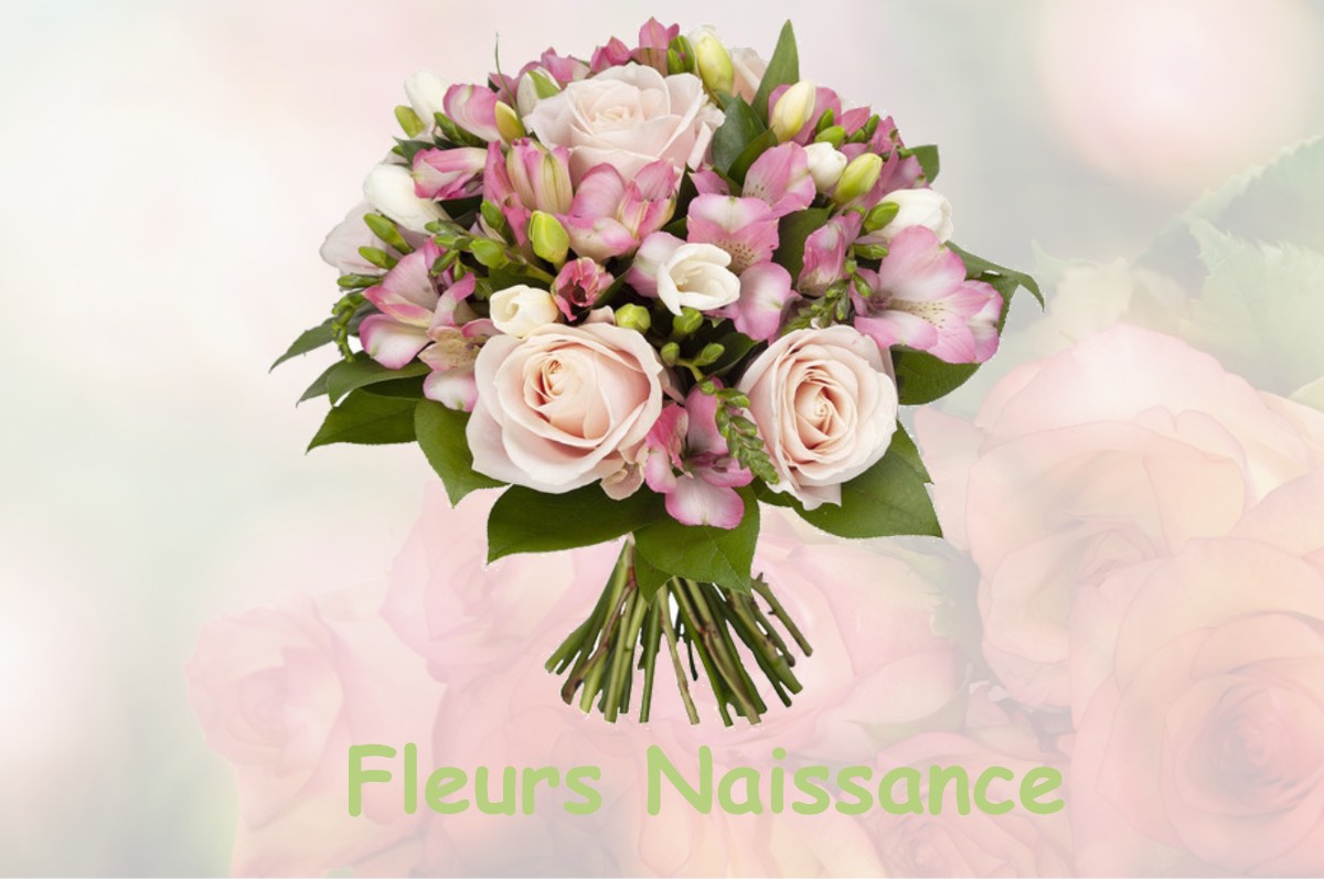 fleurs naissance LE-VERNET-SAINTE-MARGUERITE